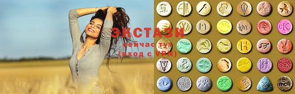 прущие грибы Костерёво