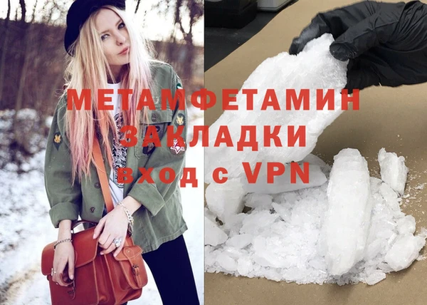 прущие грибы Костерёво