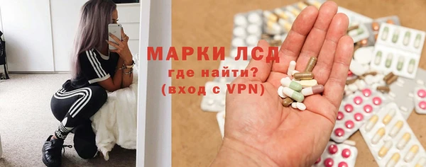 прущие грибы Костерёво
