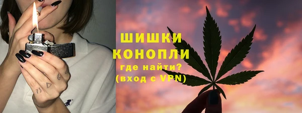 прущие грибы Костерёво