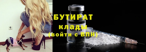 прущие грибы Костерёво
