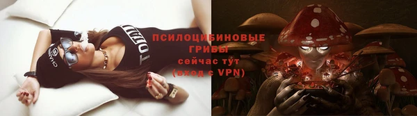 прущие грибы Костерёво