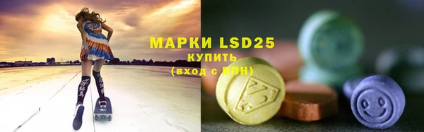 spice Корсаков