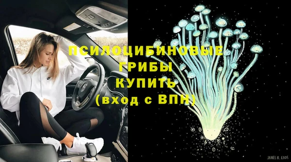 прущие грибы Костерёво
