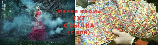прущие грибы Костерёво