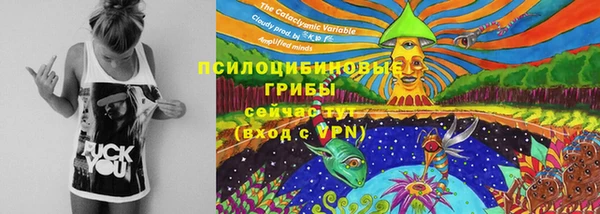 прущие грибы Костерёво