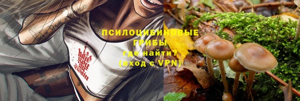 а пвп мука Коряжма