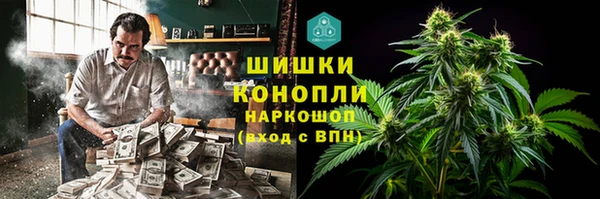 spice Корсаков