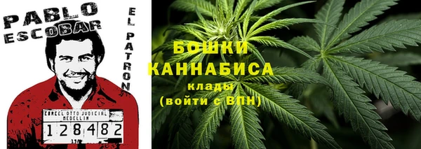прущие грибы Костерёво