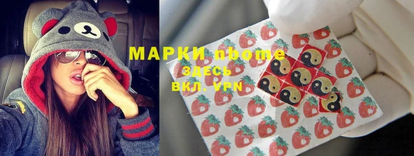 прущие грибы Костерёво