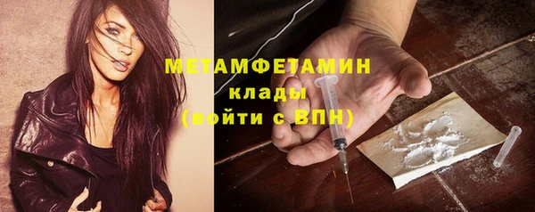 прущие грибы Костерёво